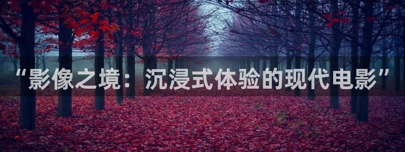 人人视频app：“影像之境：沉浸式体验的现代电影”