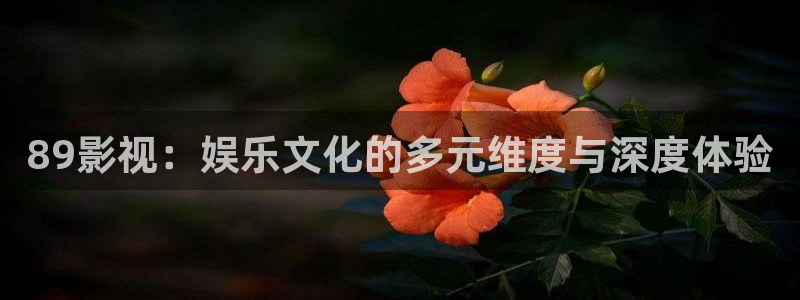 人人人人车：89影视：娱乐文化的多元维度与深度体验