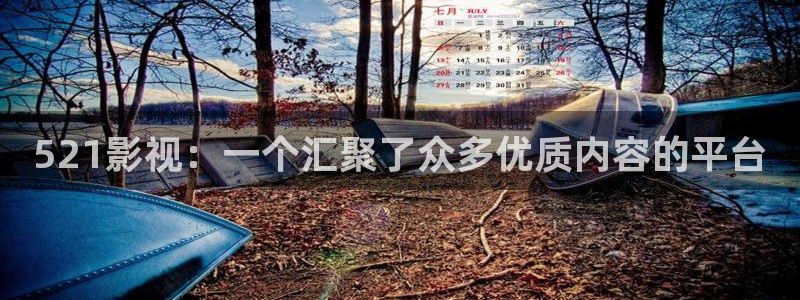 97超碰人人艹：521影视：一个汇聚了众多优质内容的平台