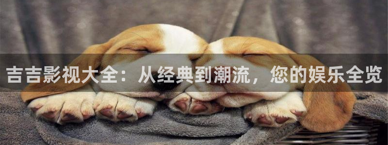 久久人人爽人人人人片