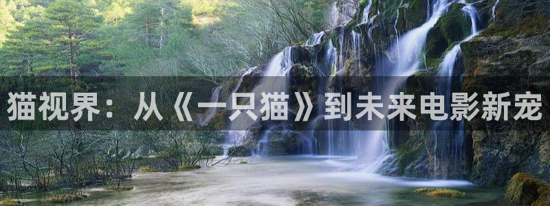 人人干免费在线视频：猫视界：从《一只猫》到未来电影新宠