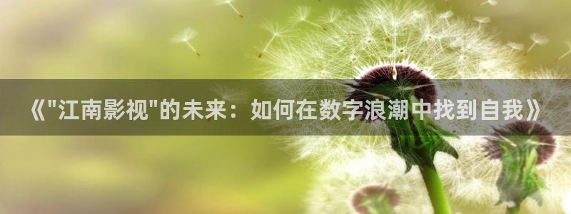 久久久国产精品人人片：《\