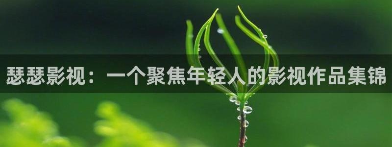 成人网人人电影